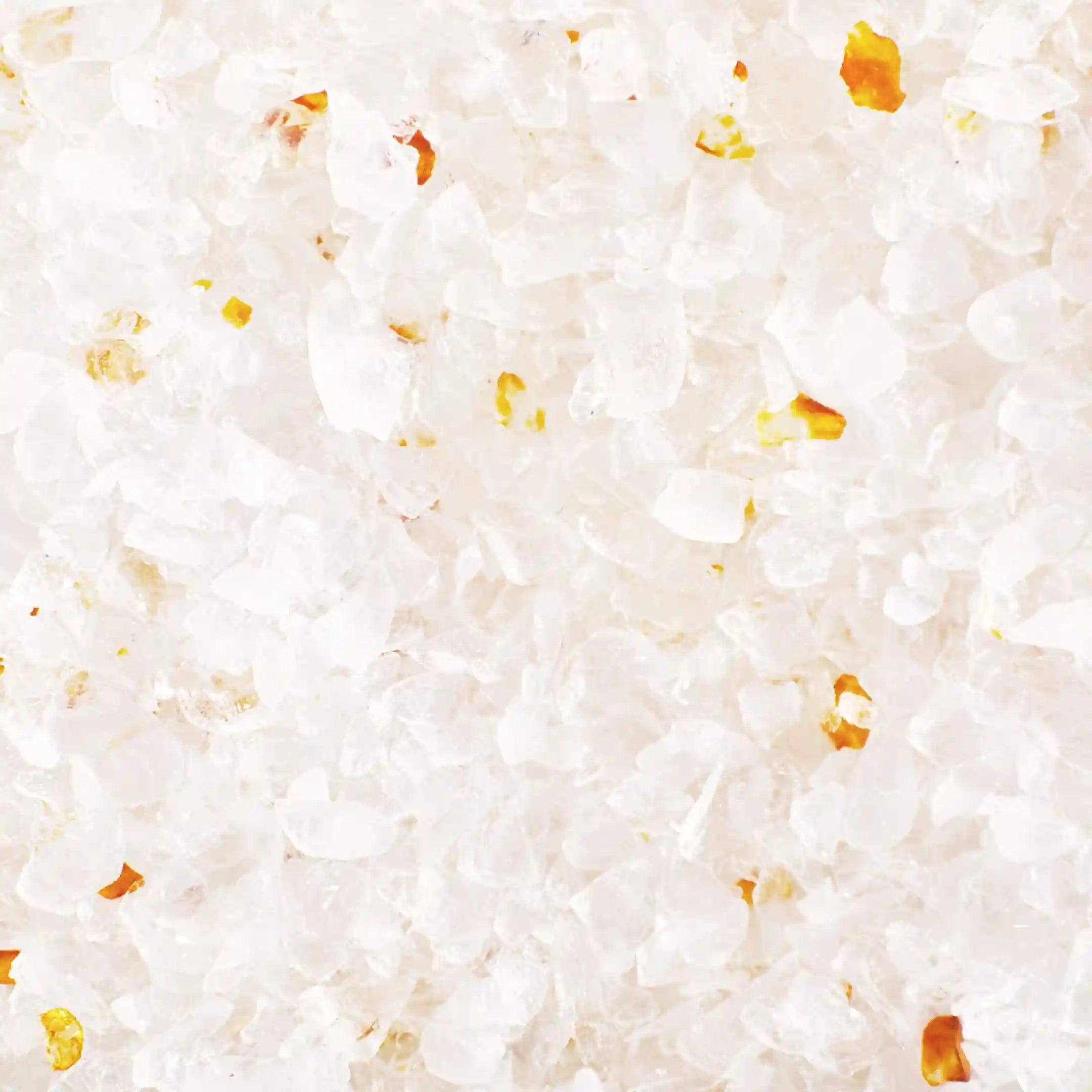 prettylittersite.us.com